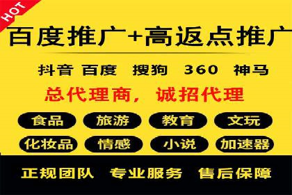 电商SEM推广案例解析